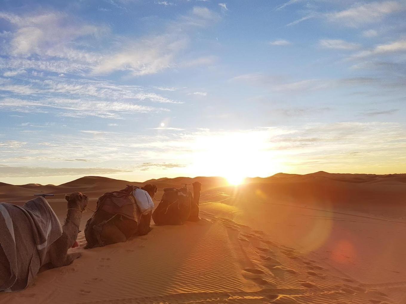 Les Roches Desert Camp メルズーガ エクステリア 写真